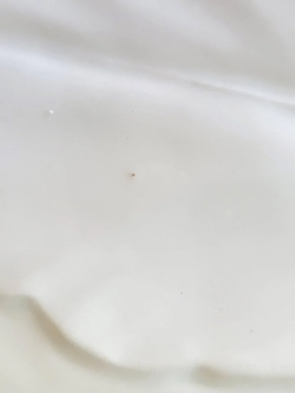 Williams-Sonoma Large White Leaf Made in Italy Glazed Serving Platter VTG